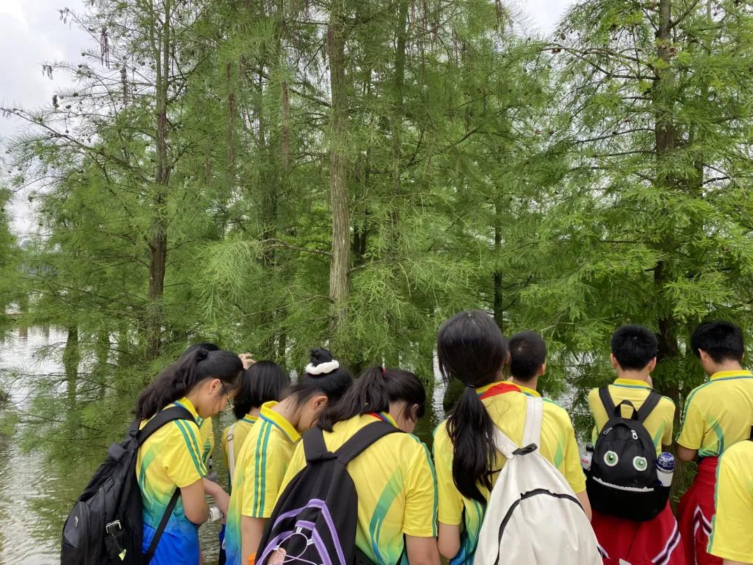 【楚学花花大世界研学】环游山水喀斯特，徒步花花大世界，尽情绽放好心情！ 研学活动 9
