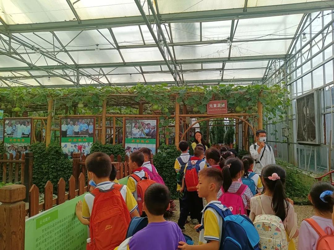 【楚学八桂田园精品研学】农耕文明的博大精深，农家作物的丰富多彩，花果飘香的田园生活等你来体验！ 研学活动 15
