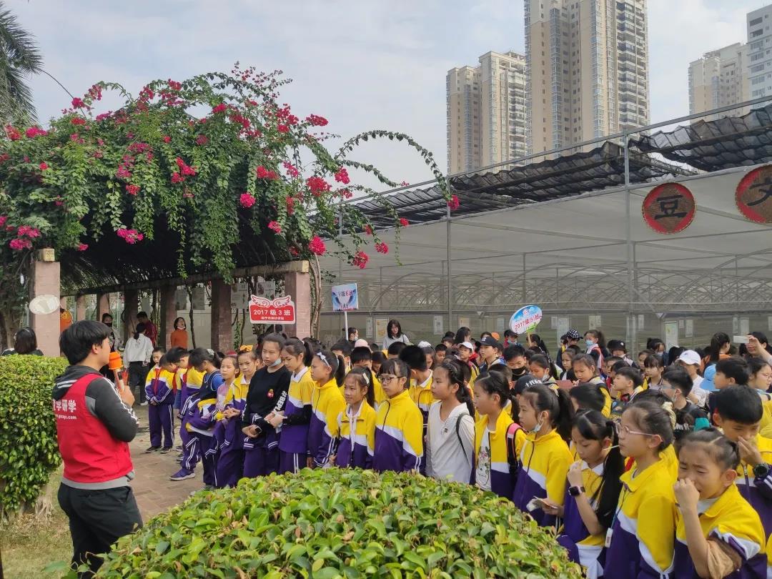 【楚学八桂田园精品研学】农耕文明的博大精深，农家作物的丰富多彩，花果飘香的田园生活等你来体验！ 研学活动 13