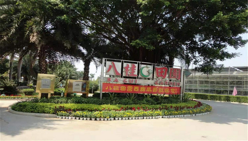 八桂田园研学 研学活动 1