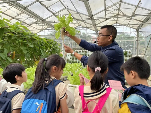 八桂田园研学 研学活动 6