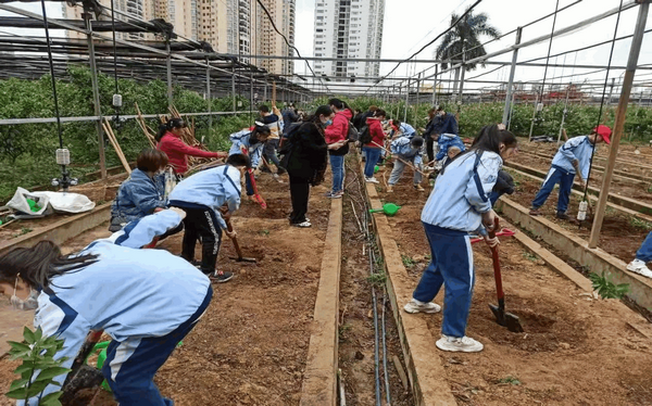 八桂田园研学 研学活动 7