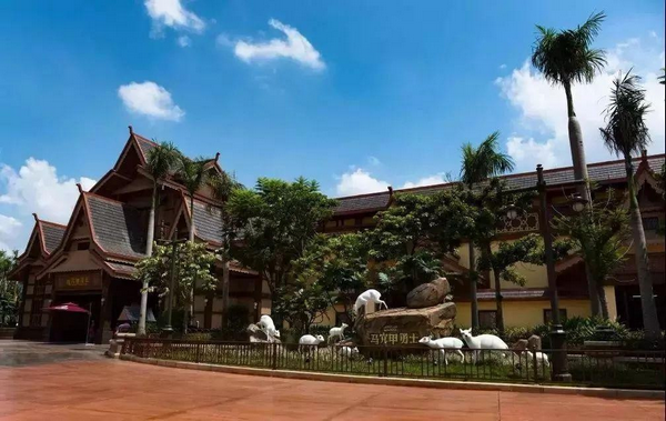 方特•青秀山•万达茂  2021暑假3天托管式研学夏令营 研学活动 9