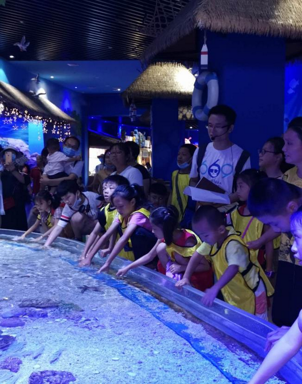 南宁融晟极地海洋世界研学营 研学活动 12
