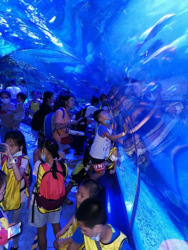 南宁融晟极地海洋世界研学营 研学活动 18