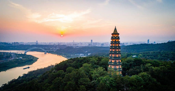 南宁青秀山研学夏令营 研学活动 2