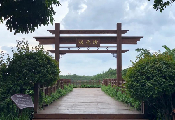 南宁青秀山研学夏令营 研学活动 6