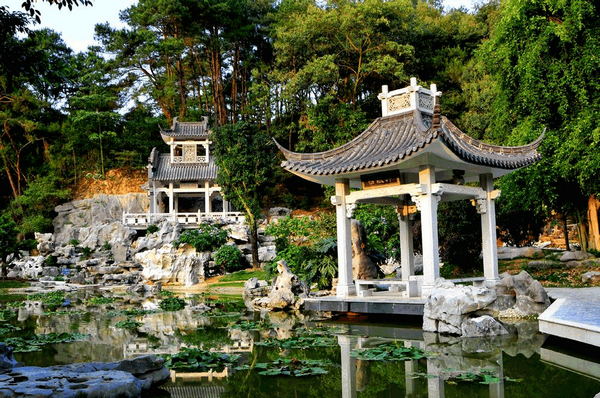 南宁青秀山研学夏令营 研学活动 7